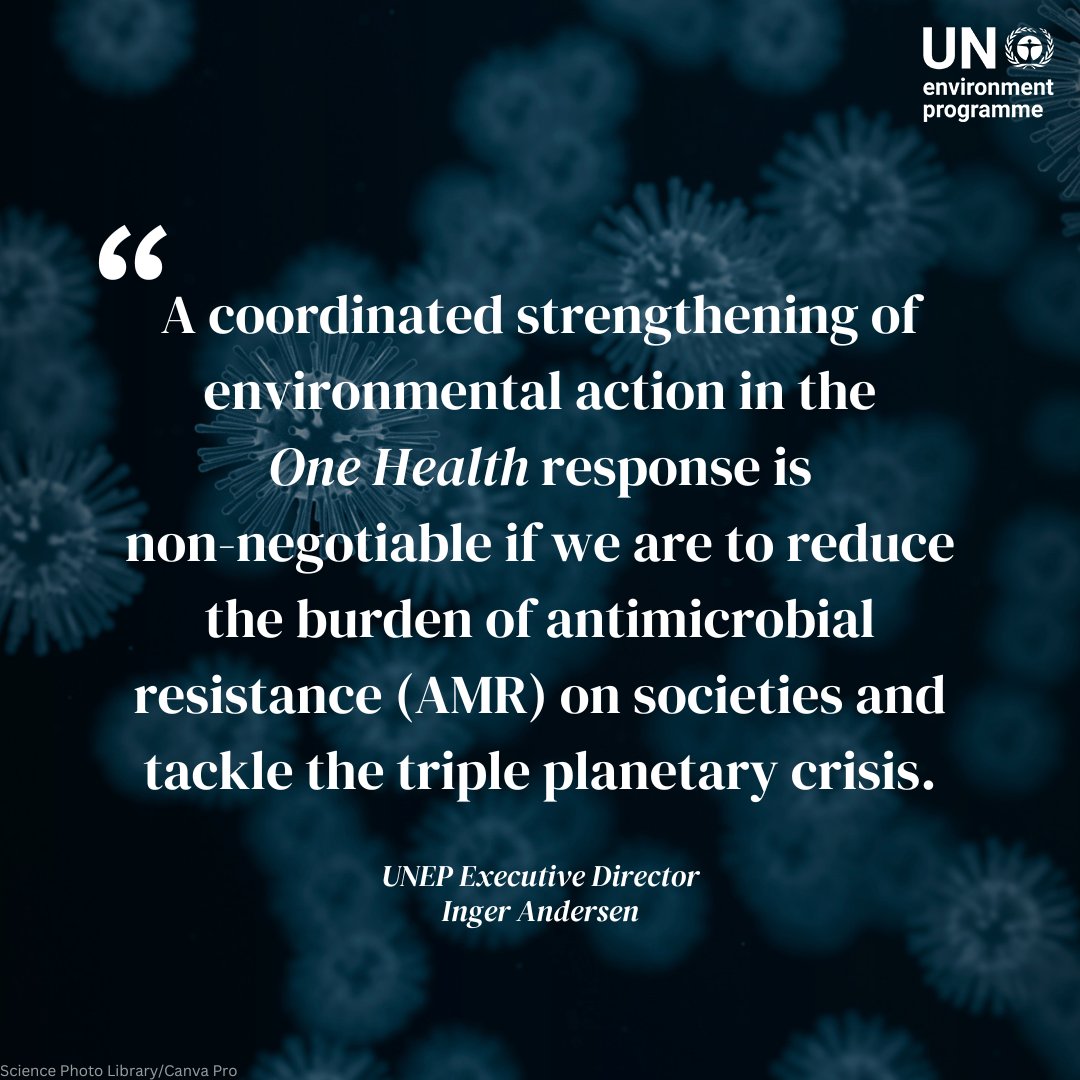 3 steps to #ActOnAMR: -scale preventative measures -improve data and surveillance -secure sustainable financing @andersen_inger at @GLGAMR meeting on antimicrobial resistance in Sweden: unep.org/news-and-stori…