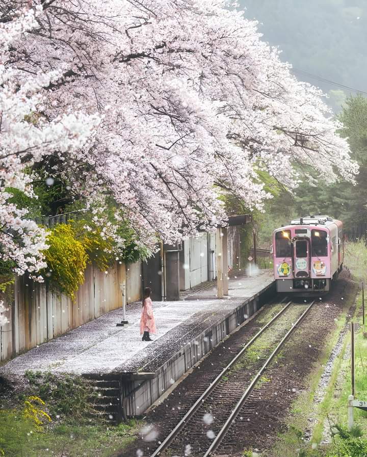 Train Station In Japan