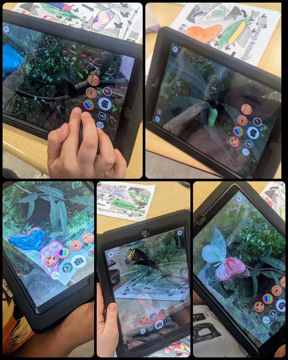 MsBrombacher's tweet image. Last week 2nd grade students at @HodgesManorPPS explored the life cycle of a butterfly and a frog using @quivervision! ππ¦πΈThey were amazed to see their coloring pages come to life! β€οΈ #PPSshines @PortsVASchools @hmeducate @ScienceWithMrsT @DWilliamsPPSsci @jennthomas75