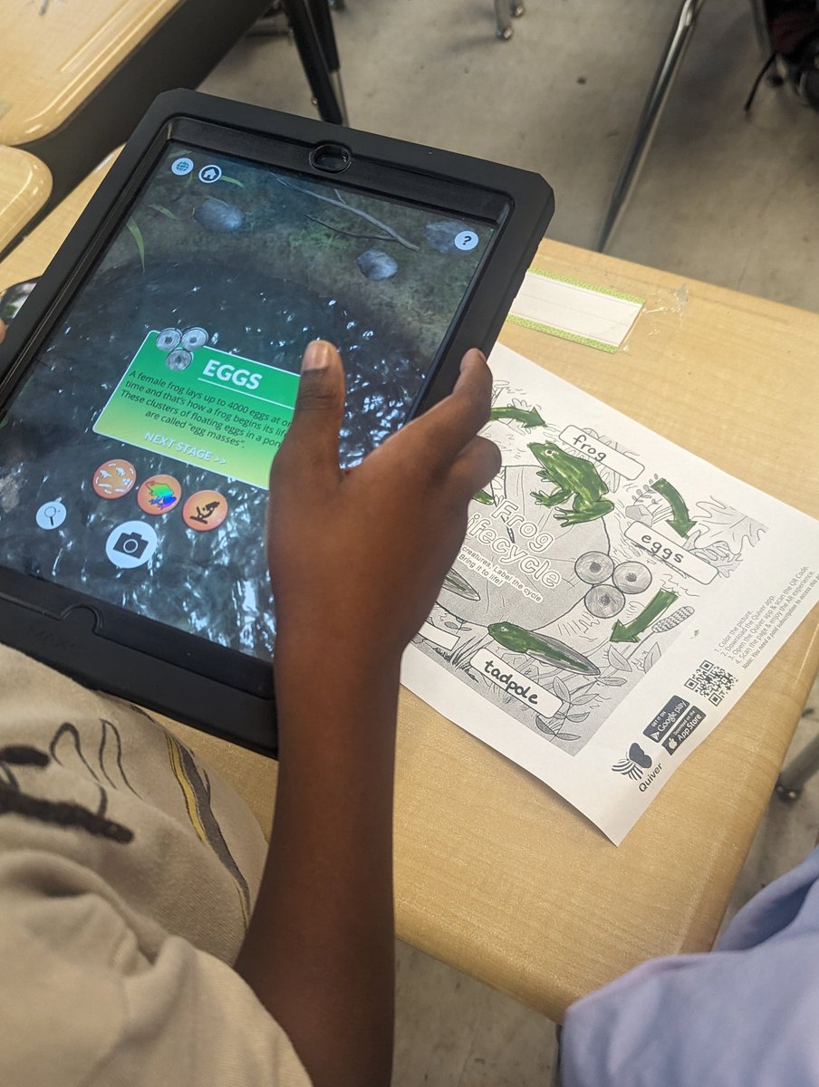 MsBrombacher's tweet image. Last week 2nd grade students at @HodgesManorPPS explored the life cycle of a butterfly and a frog using @quivervision! ππ¦πΈThey were amazed to see their coloring pages come to life! β€οΈ #PPSshines @PortsVASchools @hmeducate @ScienceWithMrsT @DWilliamsPPSsci @jennthomas75