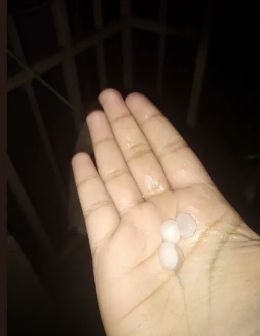 Bengaluru was slammed by a wild storm, with thunder, hail, and heavy rain. What a sight! Only the hailstones on the floor were visible — the rain was pouring so heavily that everything else was just a blur. 🌧️⚡️ #BengaluruRains #Bangalorerains