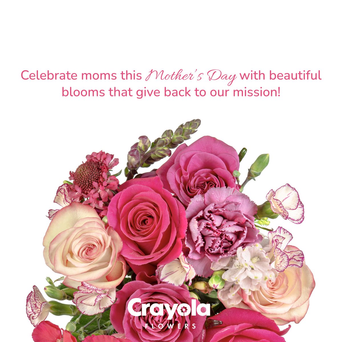 Celebrate moms with beautiful blooms this Mother's Day while supporting our cause. 💐💙🐾 10% of your purchase helps our mission! Send flowers now: 👉crayolaflowers.com/the_humane_soc…