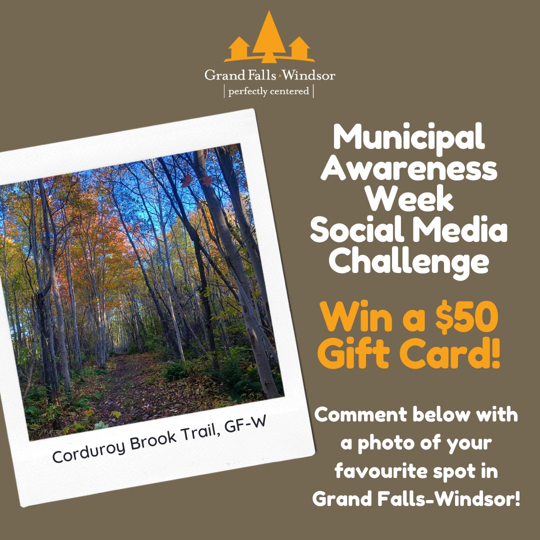 May 5-11, 2024, is Municipal Awareness Week and we are holding a Social Media Challenge! Submit a picture of your favourite spot here in GFW on our Facebook post and we will randomly draw a winner who will receive $50 to a local business! Learn more: grandfallswindsor.com/xo_event/munic….