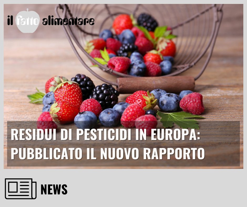 🔎Meno del 2% dei campioni di alimenti in UE contiene #pesticidi oltre i limiti di legge, secondo il rapporto @EFSA_EU 
Leggi qui 👇
ilfattoalimentare.it/rapporto-resid…