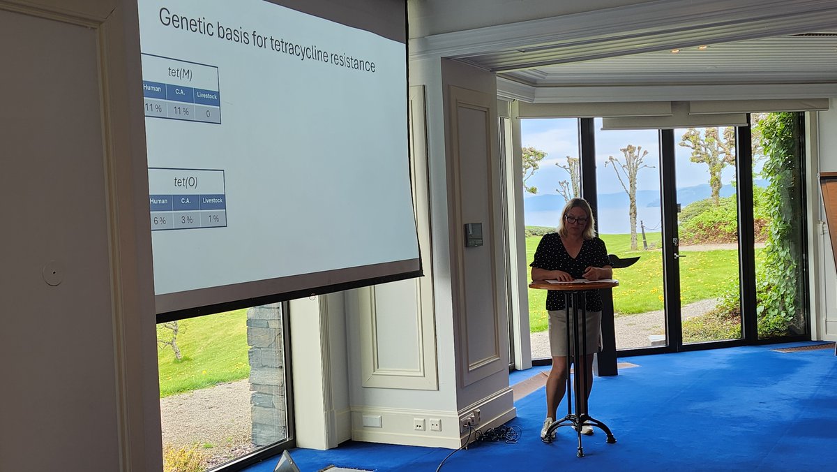 CAMRIAmr's tweet image. 🎉 Let the CAMRIA Annual Meeting begin! Day 1 showcases our budding researchers in a Researcher Grand Prix. Thrilled to see them present their projects and receive valuable feedback from seasoned experts. Let the learning and collaboration commence! #CAMRIA2024