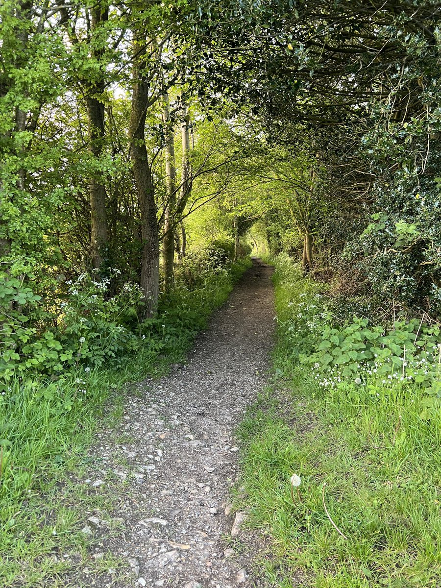 AlistairWotton's tweet image. Walking via #Cudham #Downe #GSG #BR6