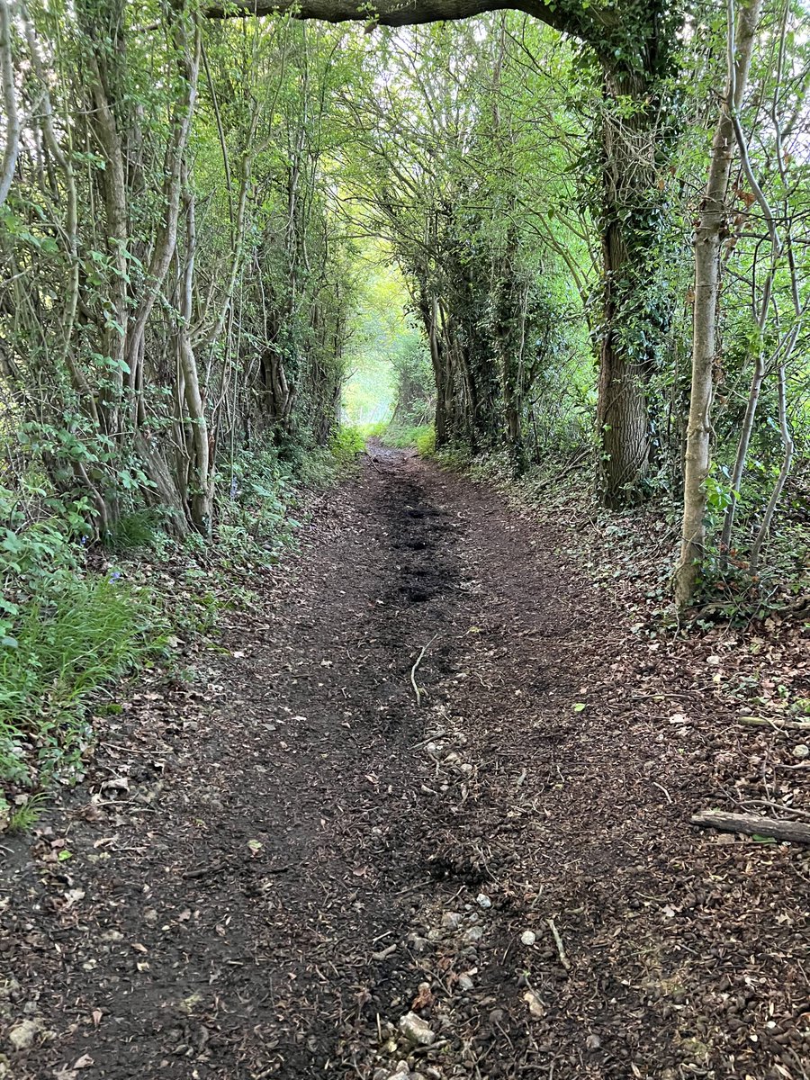 AlistairWotton's tweet image. Walking via #Cudham #Downe #GSG #BR6