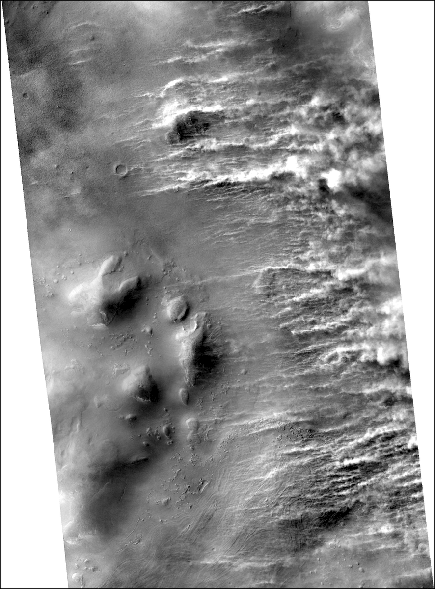 Graham Driver tweet media