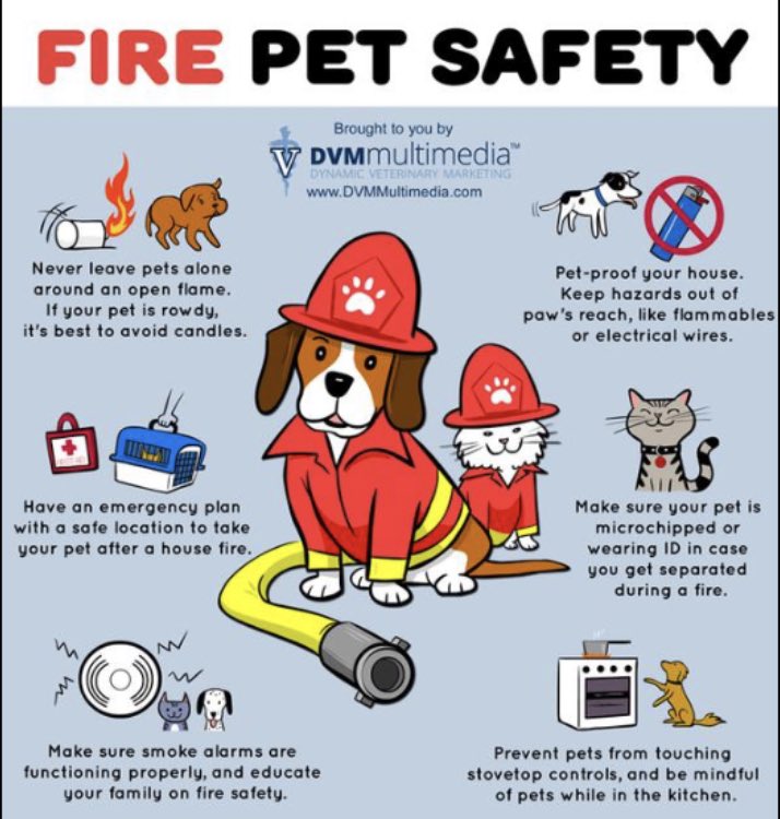 When making sure your home is safe, don’t forget our four legged friends! Be #SFFDSafe