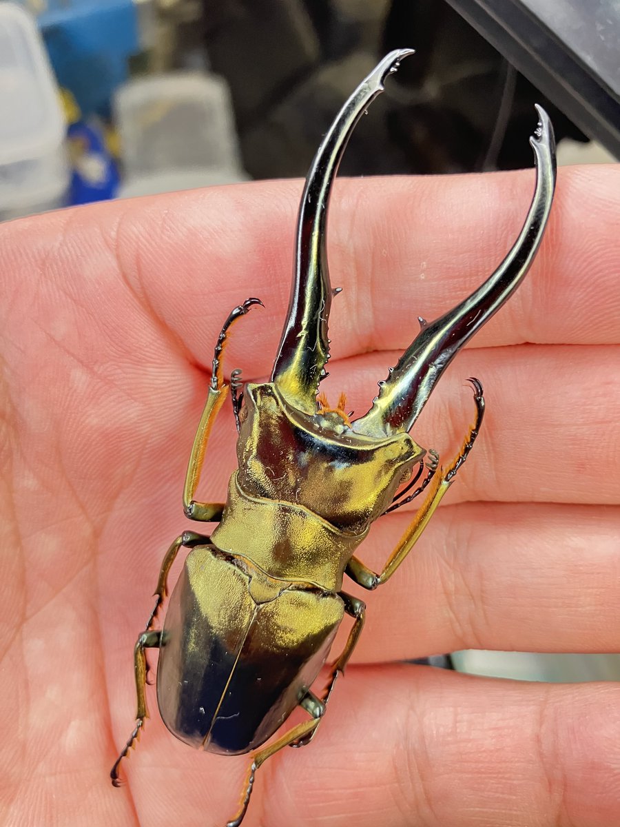 ひろき@三重 FwooD on X