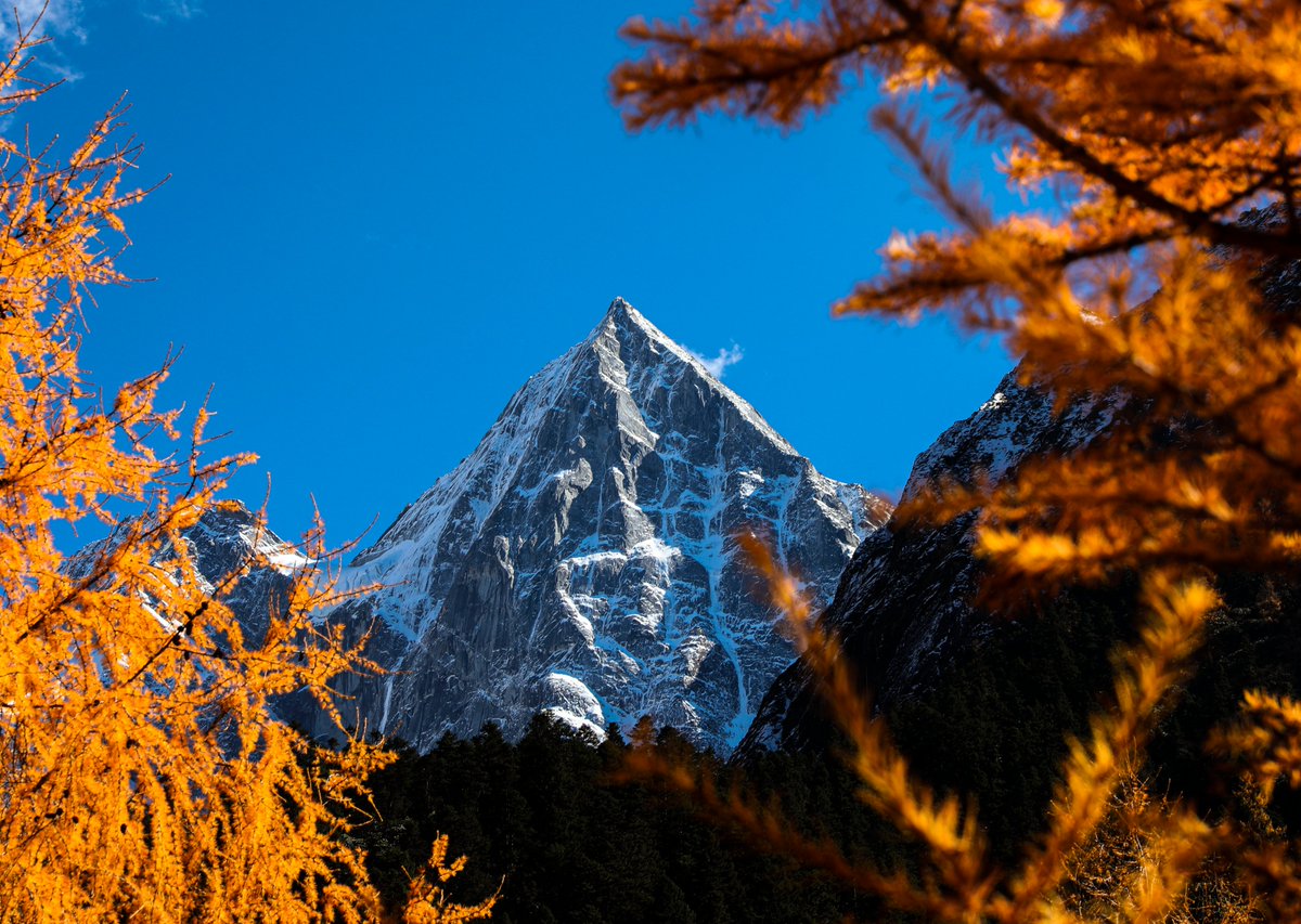 Located in Aba Prefecture, #Sichuan Province, #Bipenggou is a colourful place characterized by its dense forests and crystal-clear lakes. 🍃Bipenggou will immerse your heart with its beauty slowly. #travel