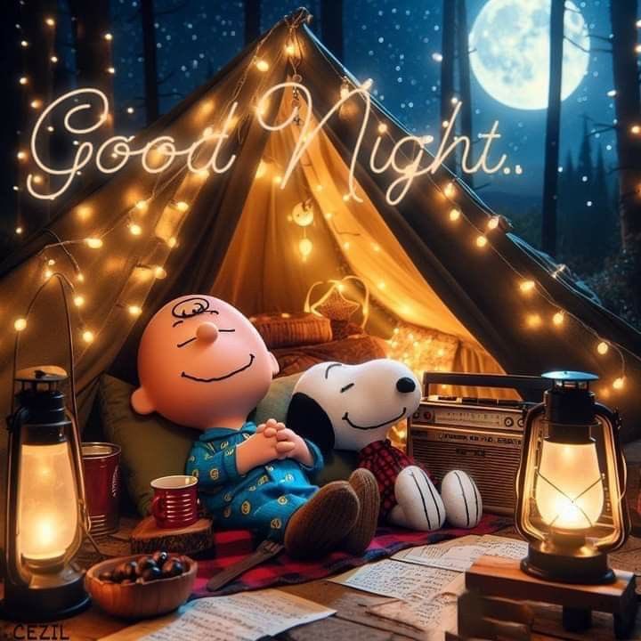 Ich wünsche eine gute Nacht und sauberere Träume 😜👍🤗😇😇😇💤🌙🤷🏻‍♂️