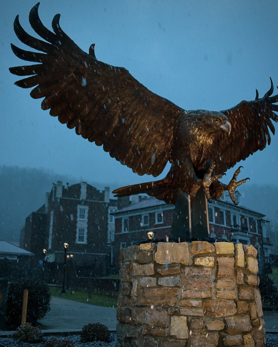 Kelly Wells tweet media