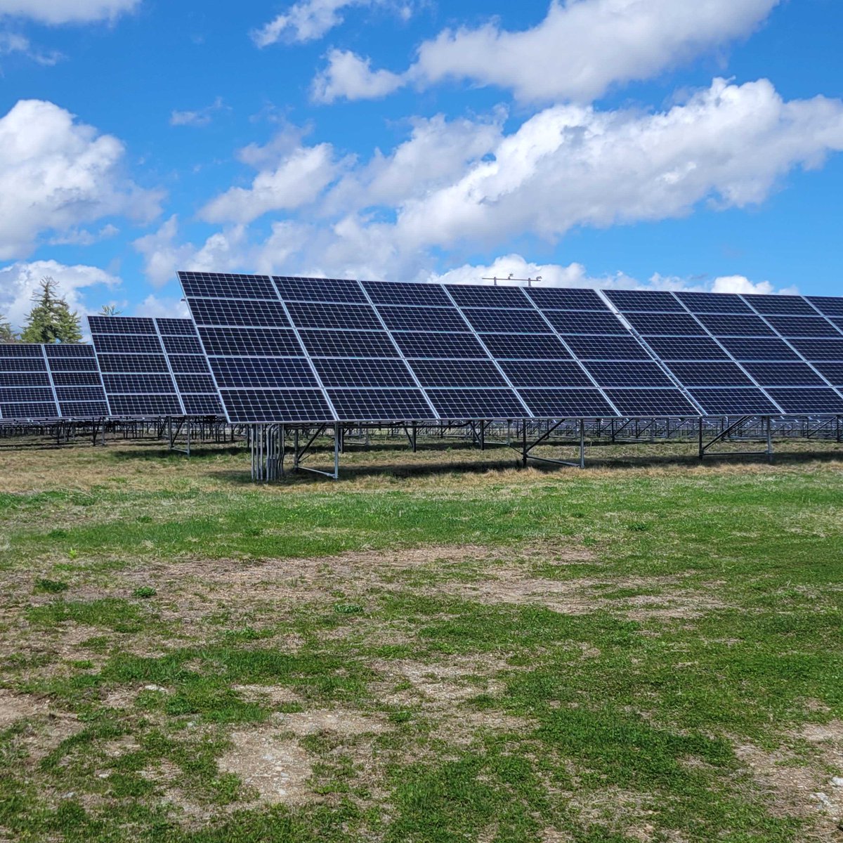 NH Energy Week (@nhenergyweek) on Twitter photo What to do with a beautiful sunny day in New Hampshire? Check out <a href="/NHEC_MEMBERNEWS/">New Hampshire Electric Co-op</a> solar
array in Moultonborough of course!
With 7,200 solar panels and over 590 batteries, the Moultonborough array is truly spectacular. Thank you to everyone who joined us on this tour! What to do with a beautiful sunny day in New Hampshire? Check out <a href="/NHEC_MEMBERNEWS/">New Hampshire Electric Co-op</a> solar
array in Moultonborough of course!
With 7,200 solar panels and over 590 batteries, the Moultonborough array is truly spectacular. Thank you to everyone who joined us on this tour!