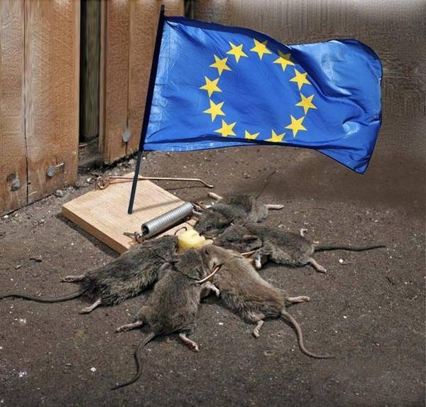 Cette photo est si bonne qu'aucune explication n'est nécessaire.
#UnionEuropéenne