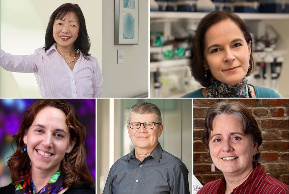 Check out the lineup for the President's Symposium at #AAI2024! 🤩 The session, chaired by Dr. Akiko Iwasaki (@VirusesImmunity), features Drs. Yasmine Belkaid (@BelkaidLab), Susan Kaech (@tcellogic), Marc Jenkins, and Diane Mathis, and will focus on tissue homeostasis & disease.