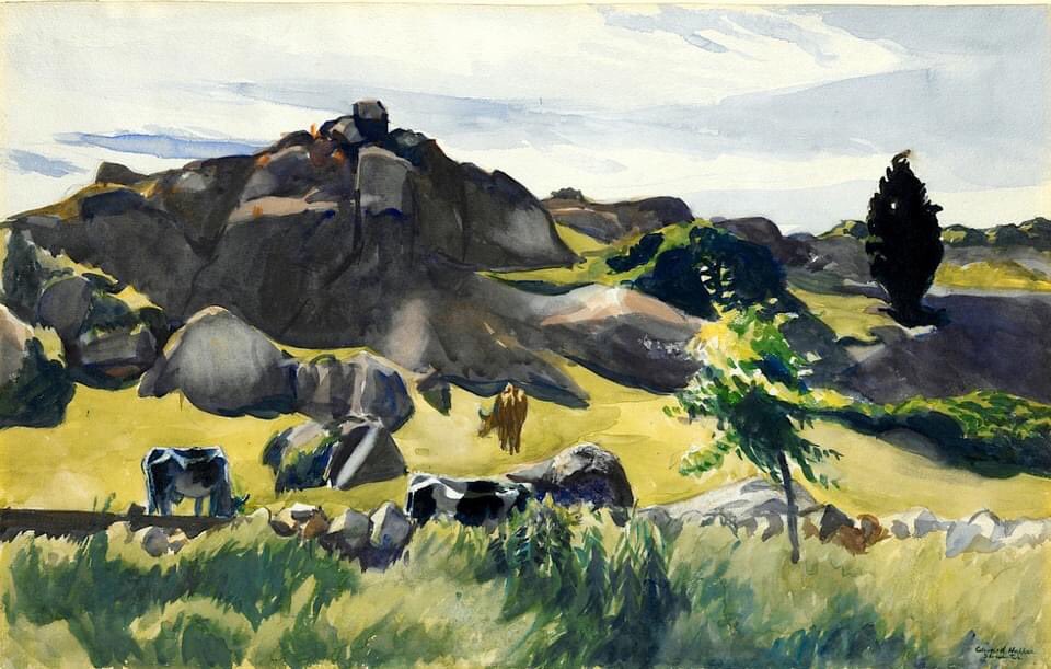 Edward Hopper 
' Cape Anne Pasture ' 1928