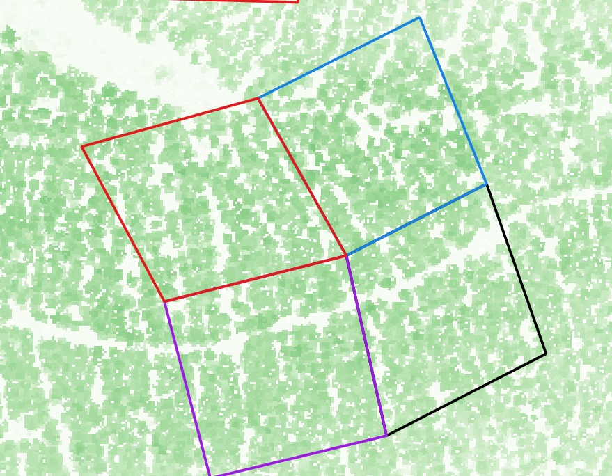 jesusfmoya's tweet image. A petición de @faginea, publicidad de @foradmitREPO ... El antes (izquierda) y el después (derecha) de las claras hechas en pinares de P. pinaster en Jócar (Guadalajara)