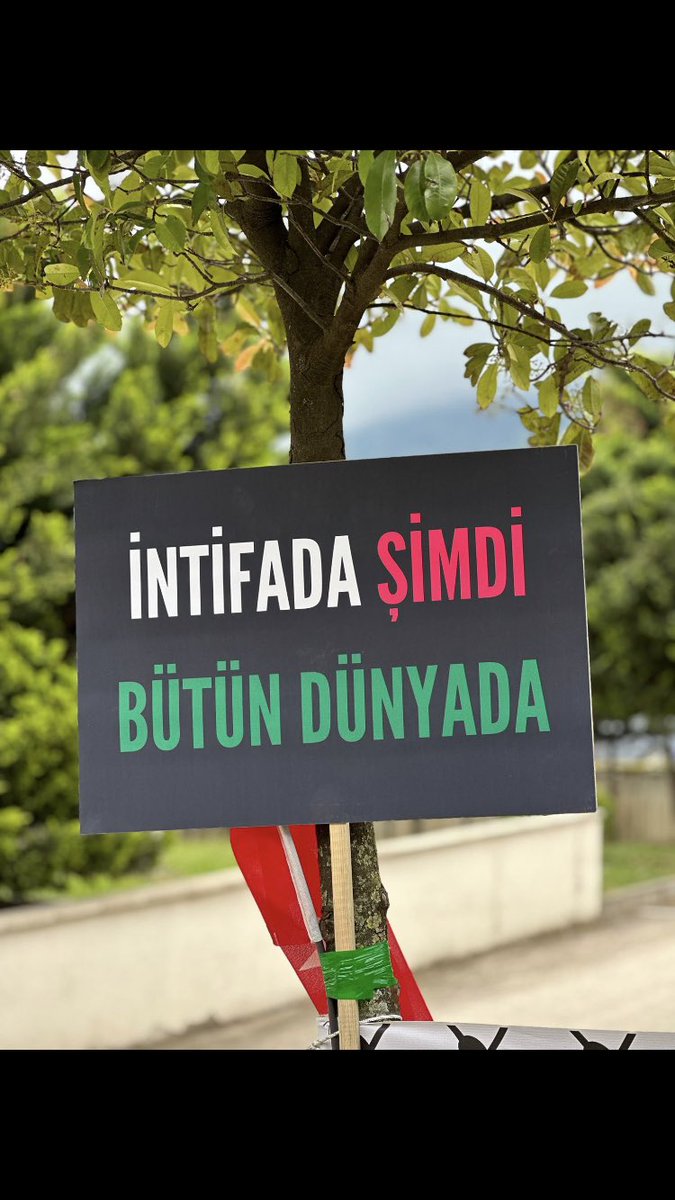 Şeyh Ahmet Yasin’in hayatını okuduğumda aşk nasıl bir şeymiş dedim. 
İmkana, duruma takılmadan uçur kalbindeki güvercinleri. Onlar yolu bulup konacaklar Mescid’i Aksanın kubbesine. #kampusintifadasi