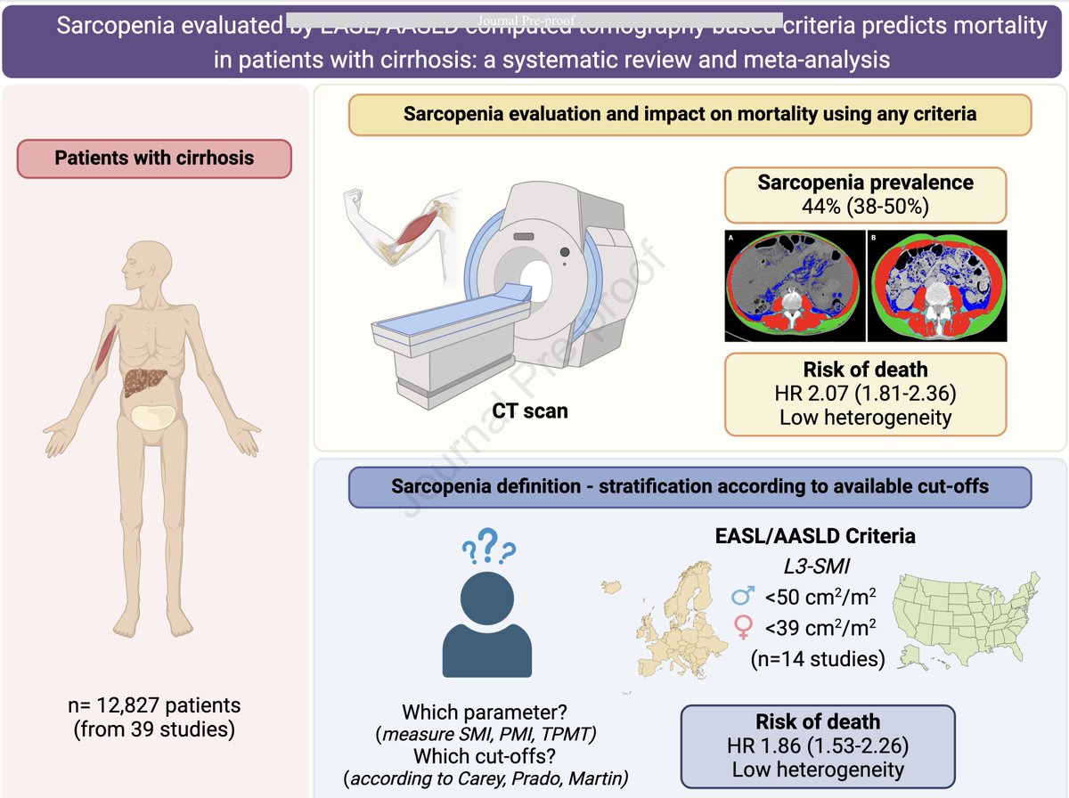 🔍💡 Un nuevo meta-análisis evalúa la influencia (negativa) de la #sarcopenia en pacientes con #cirrosis usando CT y criterios EASL/AASLD:

🌐 n=12.827 pacientes de 39 estudios
📈 Prevalencia de sarcopenia = 44%! 🧐
⚠️ La sarcopenia incrementa el riesgo de mortalidad en un 2.07