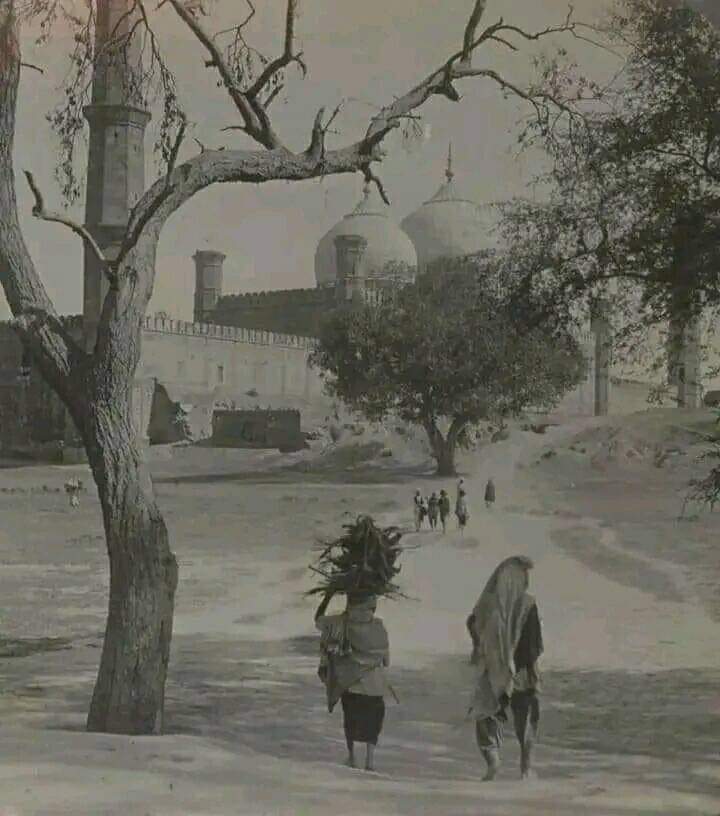 اڄ ڪو بي وفائيءَ جو فصل پوکجي،
عشق به دانهن ڪري اهڙو غزل پوکجي..

حسرتن جو ماتم  ڪري "صنم! برپا،
گدلي سينور ۾ ڪو ڪنول پوکجي.