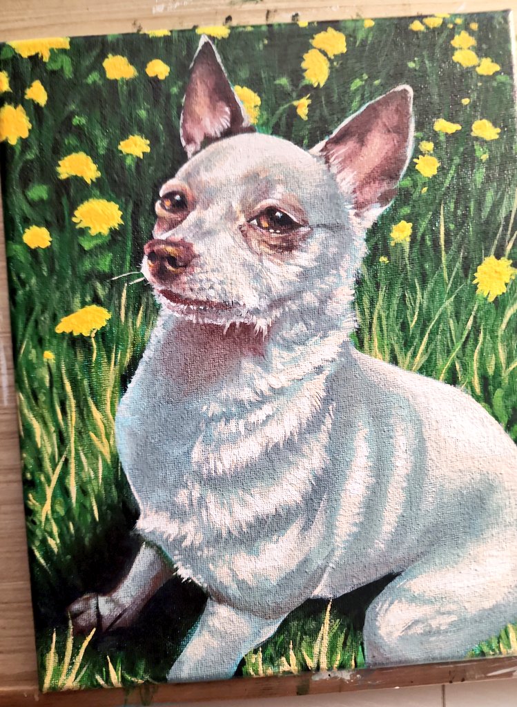 I finished painting my boy, Sammy 🌻 Planning to offer commissions like these in the future!

#humanart #noaiart #traditionalart #acrylicpainting #petportraits