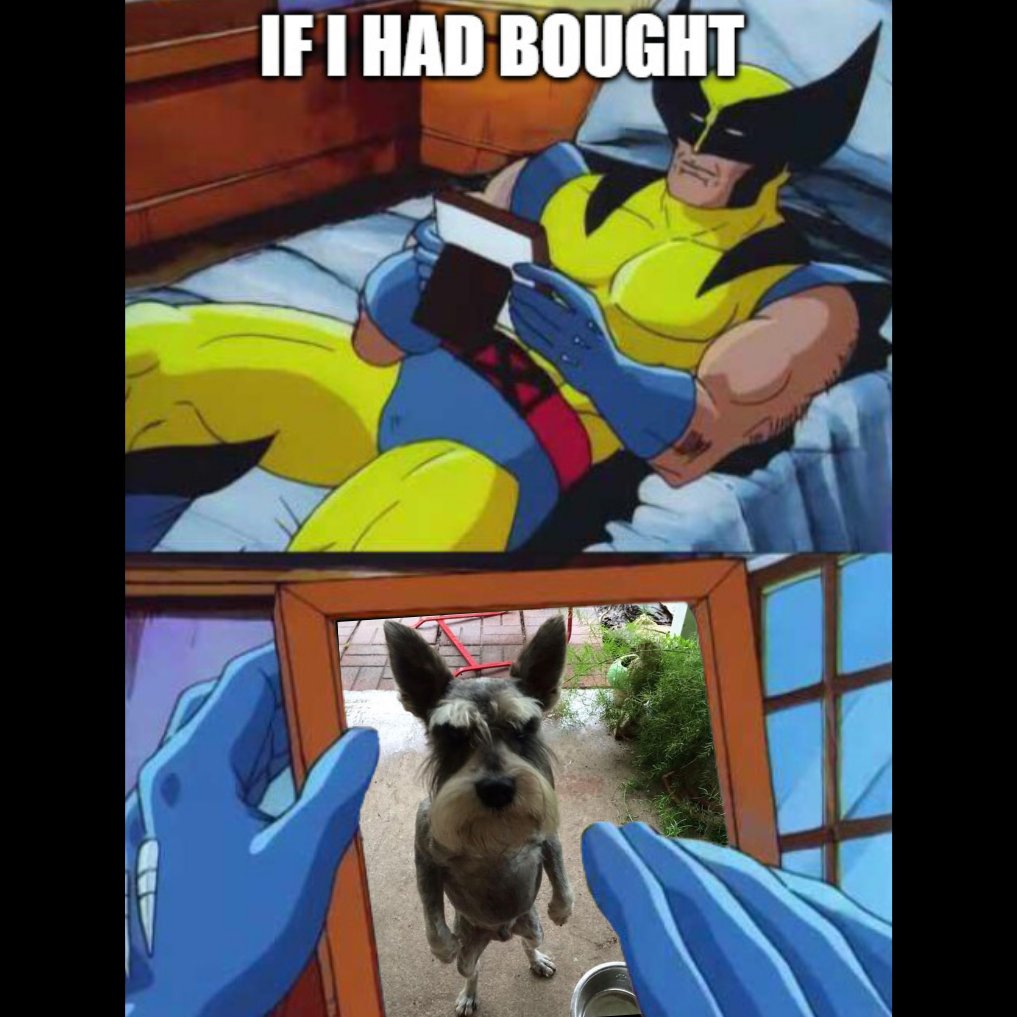 madichicoin's tweet photo. @Nate_Rivers @LandmarkOnSol @mrpunkdoteth $MADICHI
CA: 9NuVCx6qeV3Xf5a8ouS6cKdm2mCRhSJXMDfwthSAjTwm

F***, I am Madichi, michi's uncle. Crazy mad schnauzer steals the internet with his wild wags and goofy grin!

-Strong community of SIGMA Holders
-Commited Dev
-Loyal Team https://t.co/6jlEI8gitP