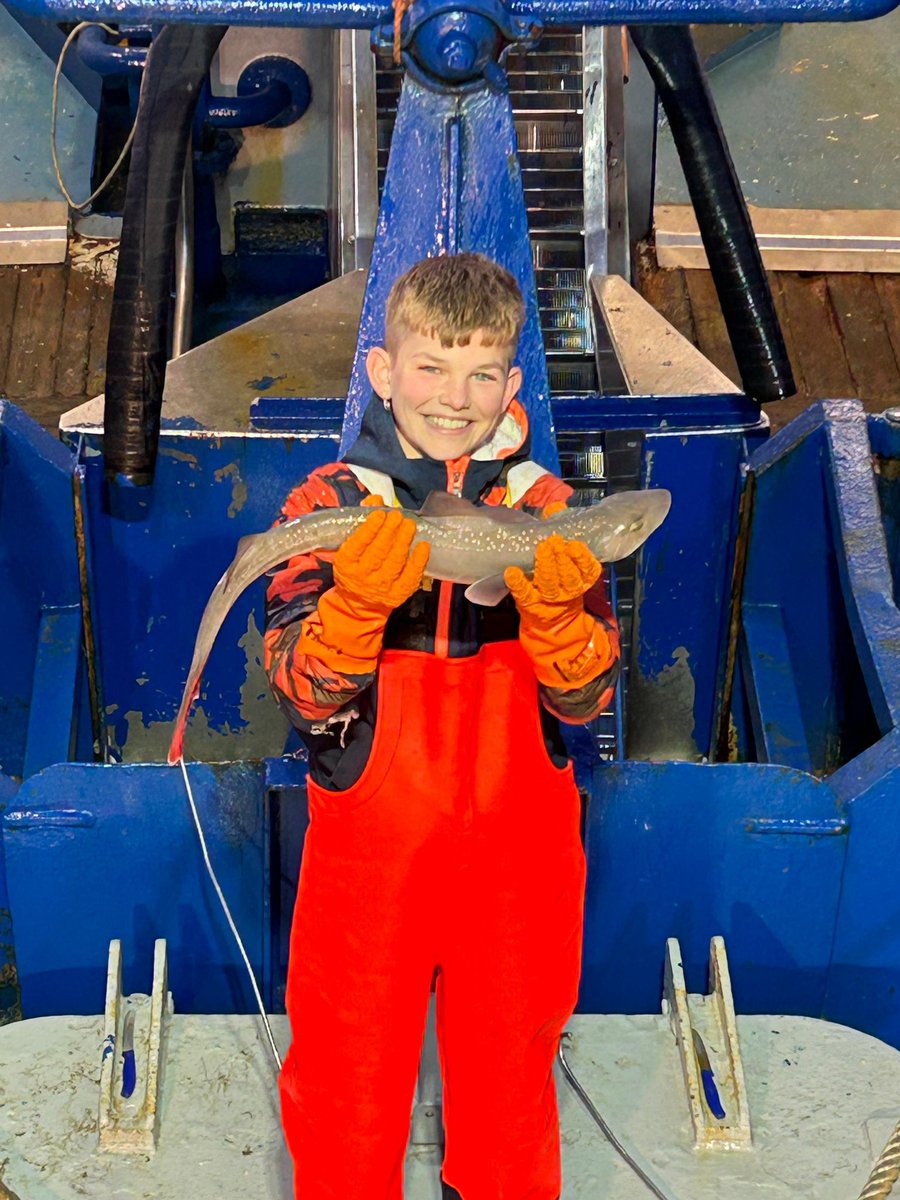 elisabethbv's tweet image. Luke een weekje mee met de kotter #SC1 #VerseVis