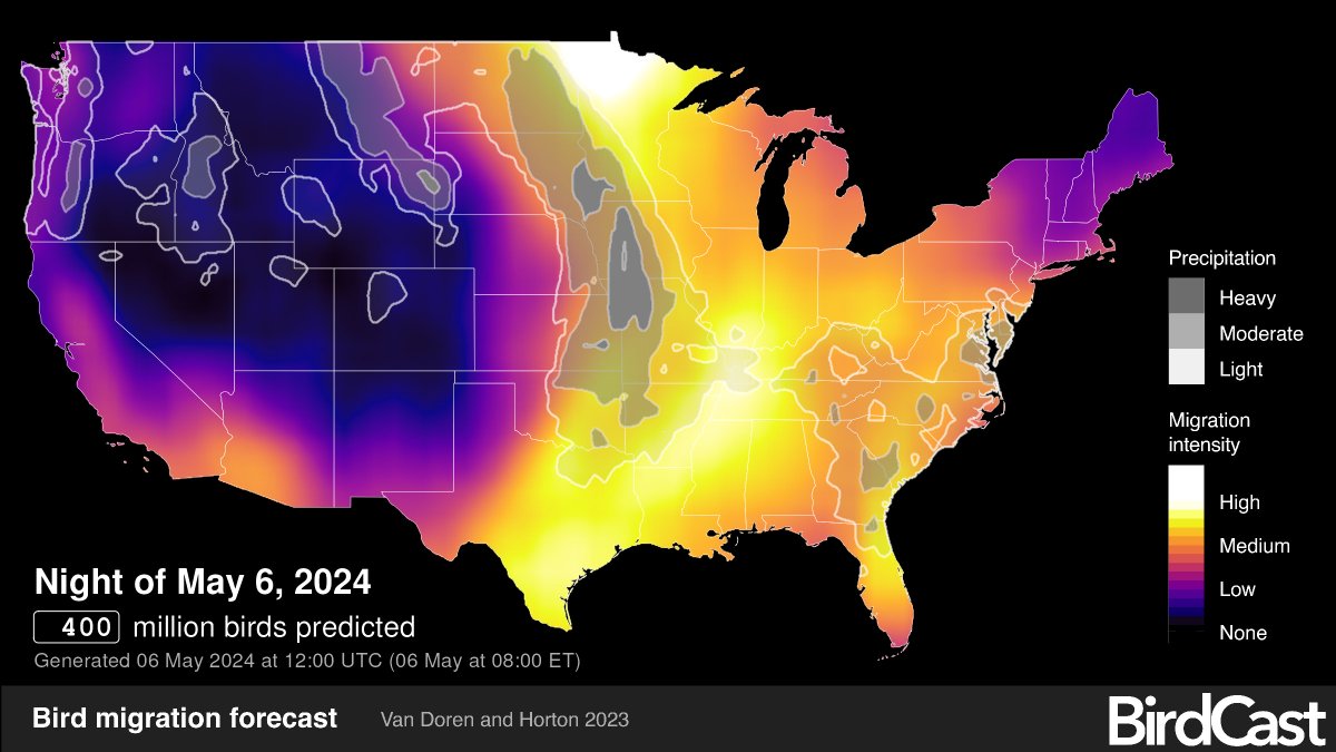 Peak migration, 400 million birds on the move tonight! Go “lights out” and give our feathered friends a safer path. #birdfriendly