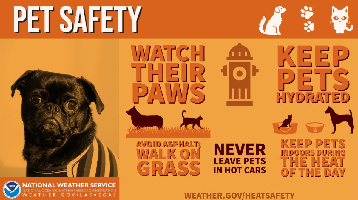 Pets Are Family, Too! Remember, if the asphalt is too hot for your feet, it's too hot for their feet. 🐶 Dog shoes or booties help protect their feet. 🐱 Keep your pets inside with plenty of water. 🐰 Never leave pets in a car unattended. #HeatAwareness