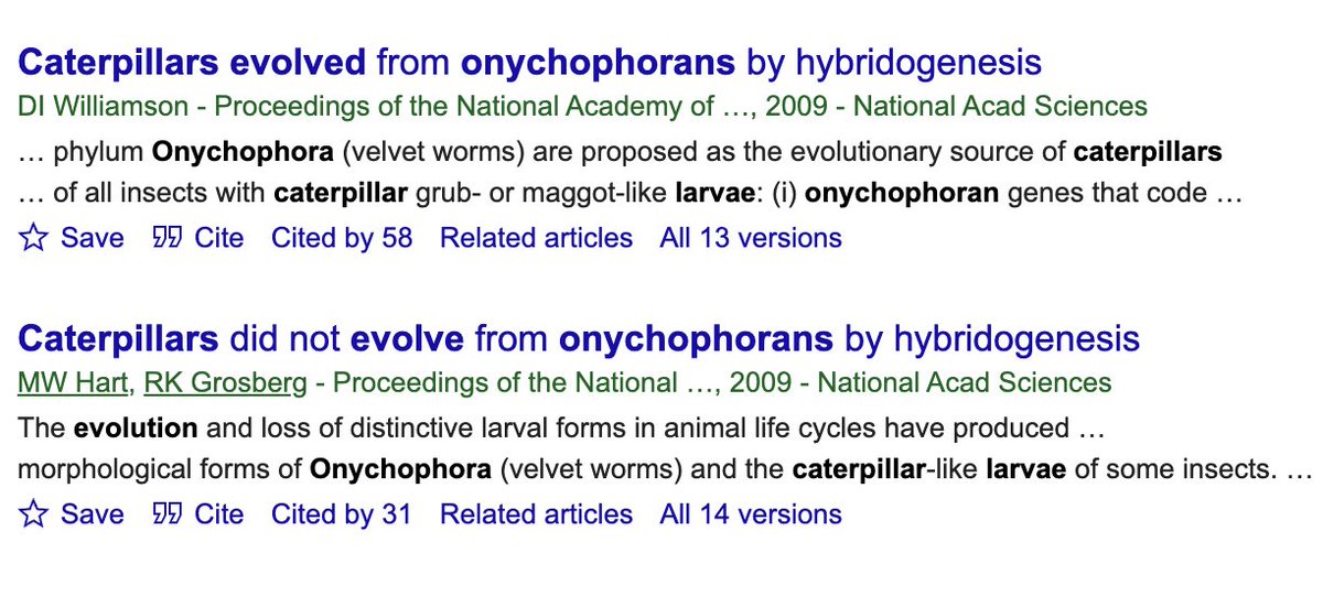 Kyle T. David 🍄 (@kylethedavid) on Twitter photo 