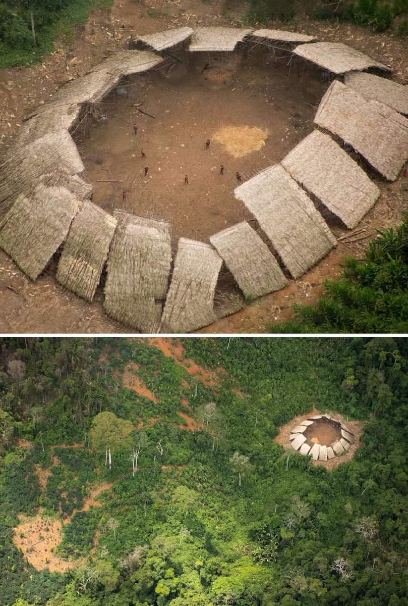 📷 The Yanomami live in large circular communal houses called 'yano' or 'shabono', which can accommodate up to 400 people.

The central zone is used for community activities such as rituals, parties and games. Each family has their own bonfire where they prepare and cook food…