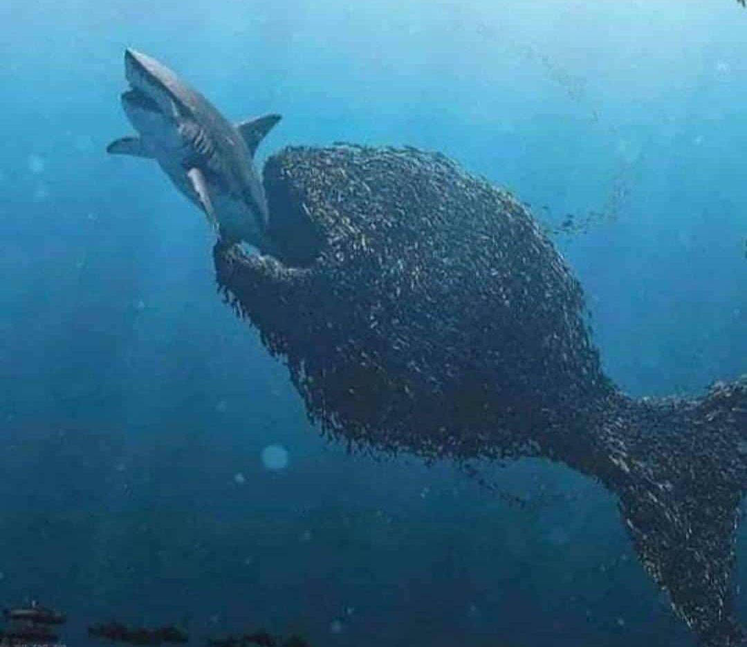 There is beauty and power in unity.