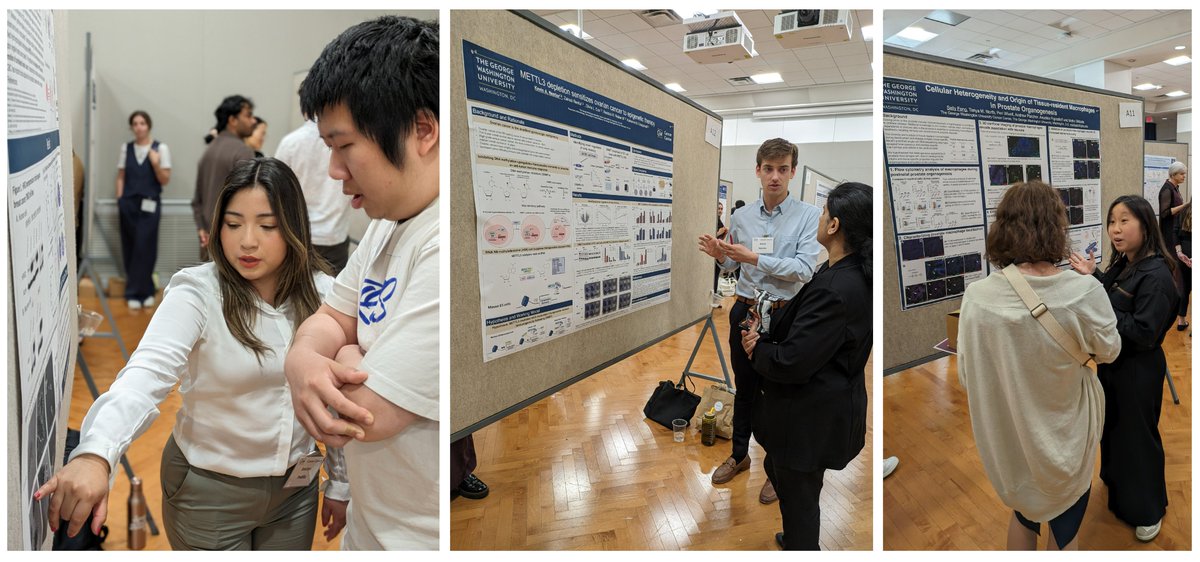 Our #GWIBSFamily PhD students and their cancer-fighting colleagues put on an impressive display of their work at the @GWCancer retreat last week! Special shout out to @eltonevergreen who won a 1st place poster award with the @dalia_haydar lab!
