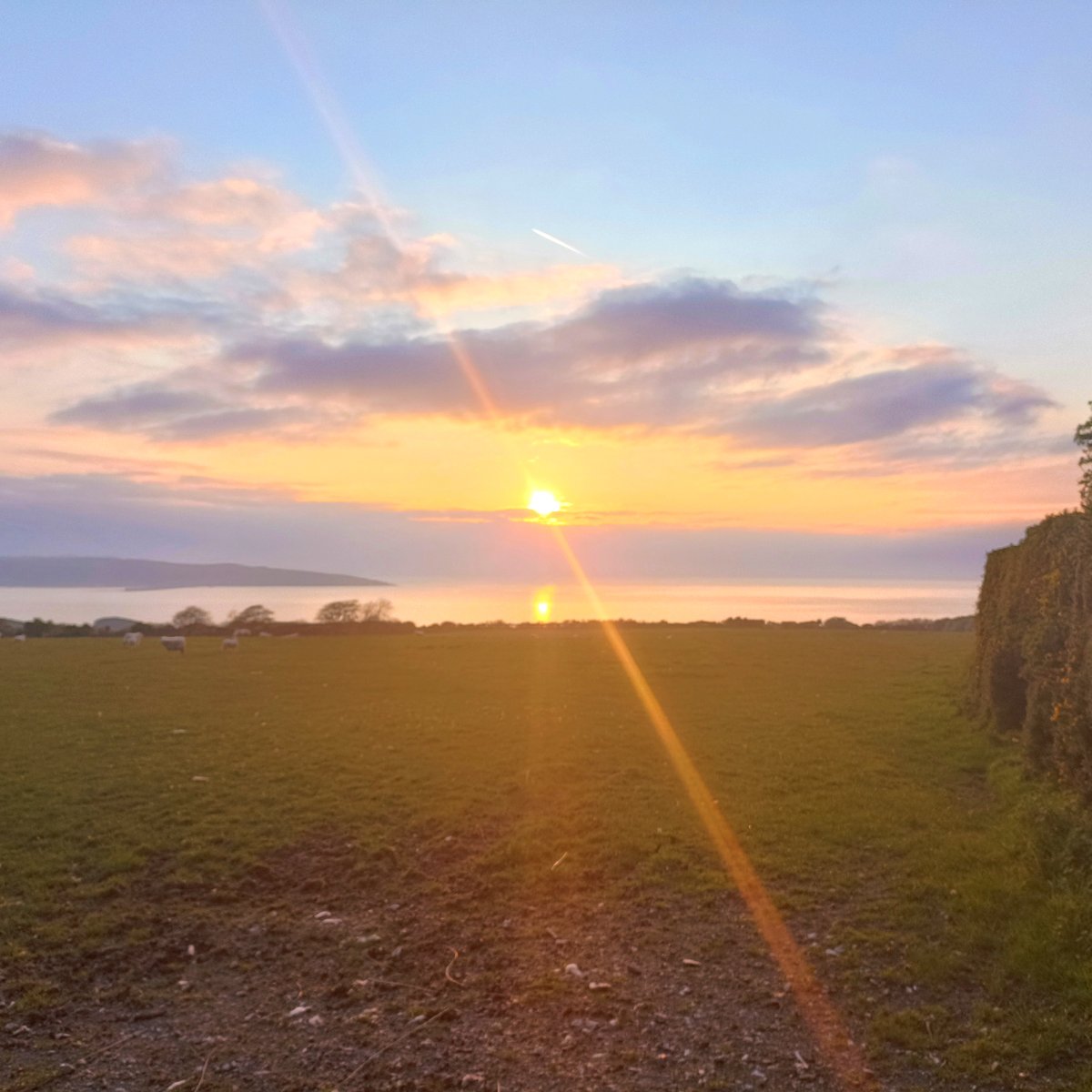 Two shots from Newport Sands this afternoon, and two from near Aberbach at Dinas some 20 minutes ago. 😍