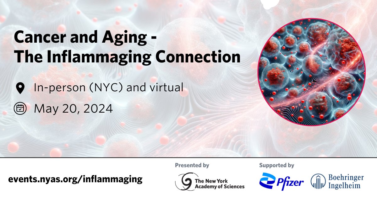 ⌛Join us in 2 weeks! Don't miss Cancer and Aging - The Inflammaging Connection on May 20, presented by the Academy, supported by @Pfizer & @Boehringer. Explore recent advances in cancer-related inflammaging, including cellular senescence & more. Register: bit.nyas.org/3Wuy4Z9