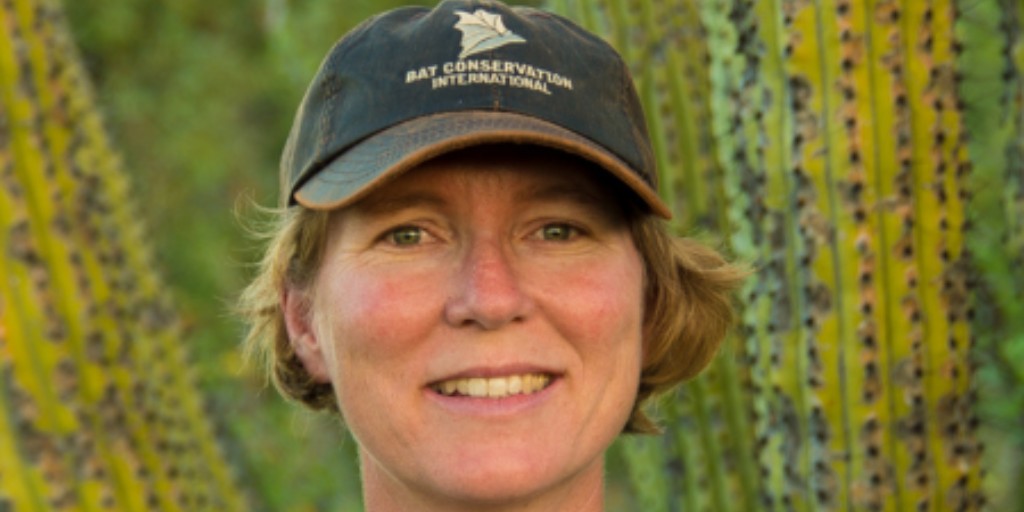 Winifred Frick is Chief Scientist at Bat Conservation International and one of our our newest affiliate faculty members! As Chief Scientist, she directs high priority research and development of scalable solutions for achieving meaningful conservation outcomes for bats 🦇