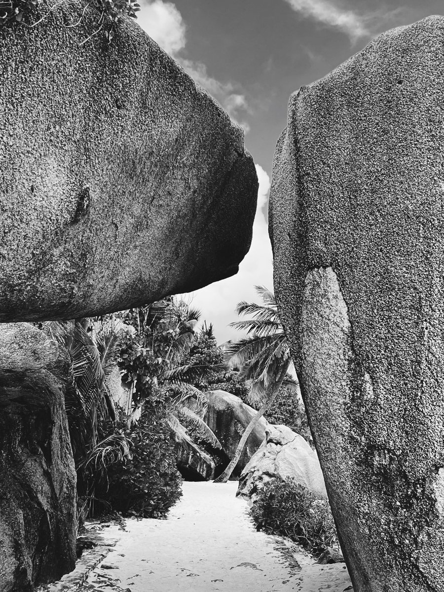 Day 127 / 366 'SO CLOSE' 🪨 🇸🇨

#seychelles #island #rocks #path #travelphotography #FotoVorschlag #Fotomontag #photomonday #photooftheday