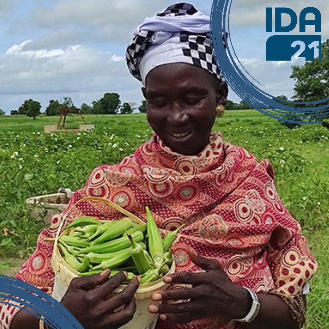 In the Sahel, 64% of the population relies on rainfed agriculture for their livelihood. 

☀️💦Learn how #IDAworks to bring solar irrigation systems to the region to boost resilience to climate change, enhance food security & transform communities: wrld.bg/awo250RwXXO #IDA21
