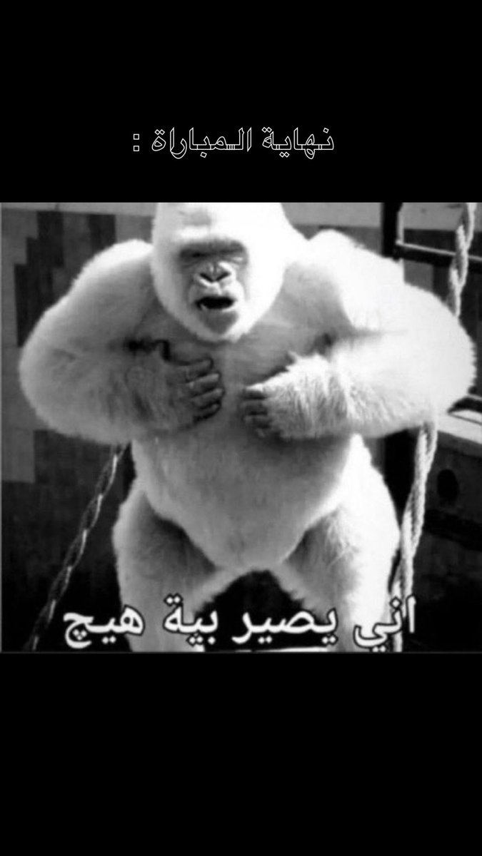 كبير القارّة tweet media