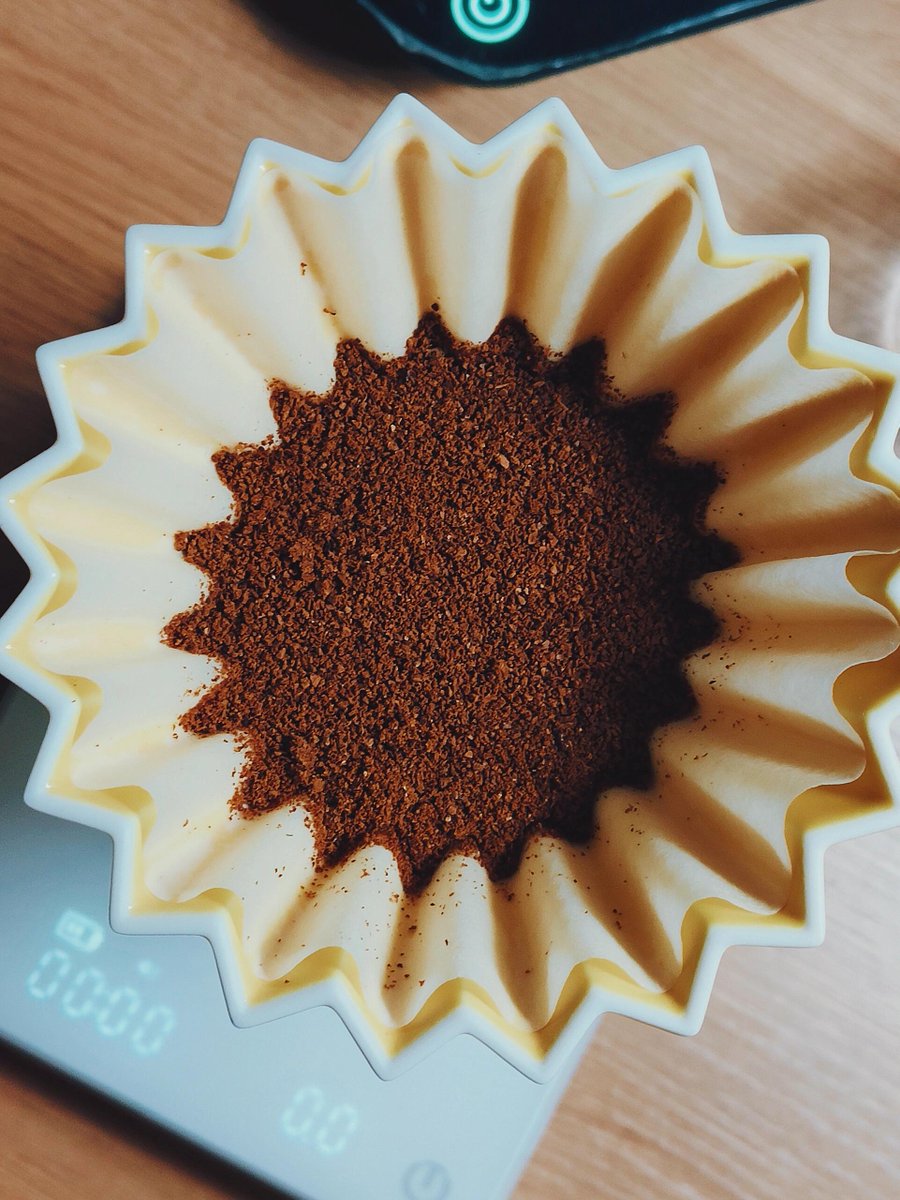 wellersonte's tweet photo. Coffee is my must-have accessory. https://t.co/e667zA9vIM