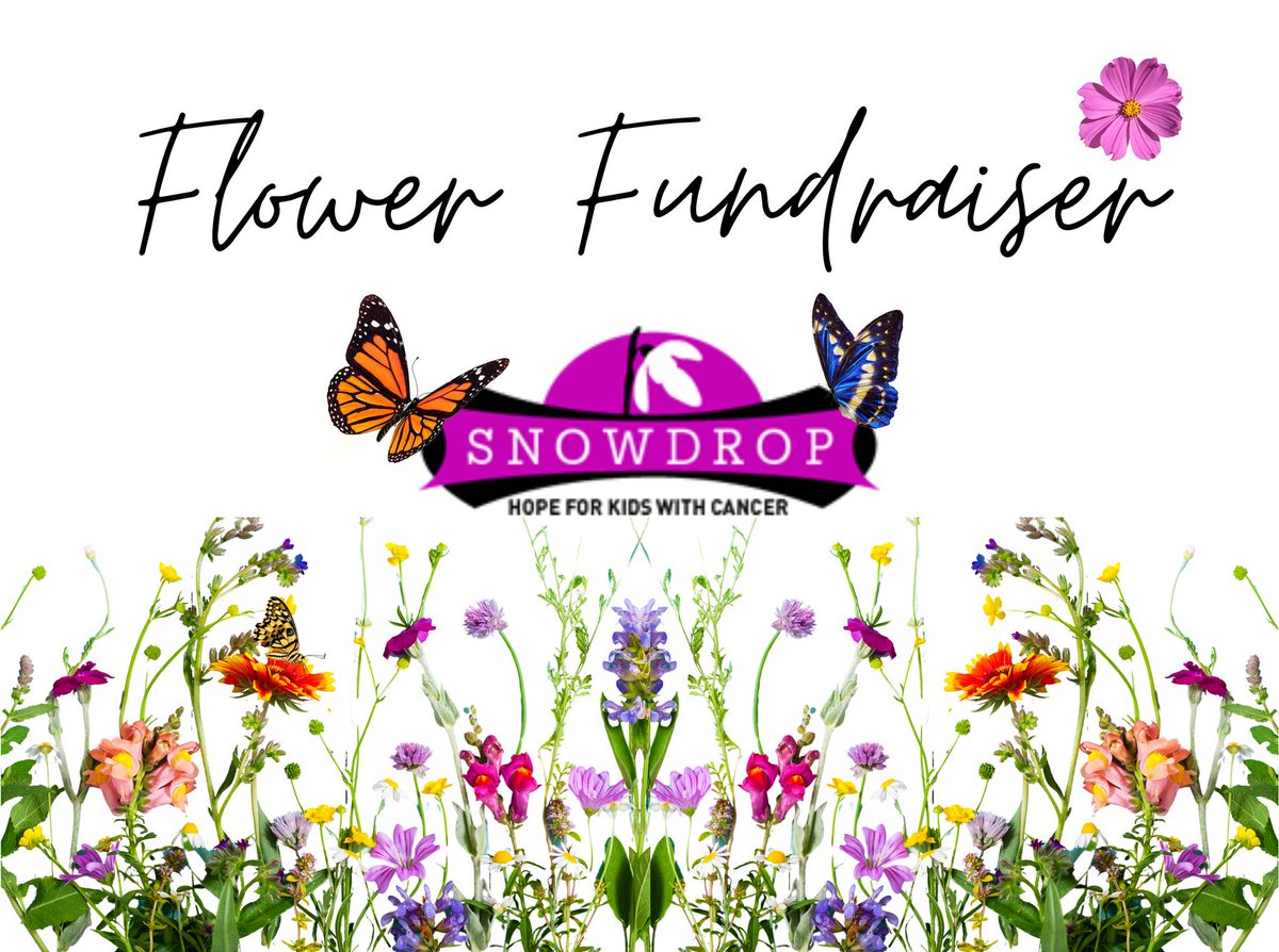 We are 9 days away from the end of our Flower Power Fundraiser & are $44 short from our goal! There is so much to choose from: strawberries, veggies, flowers, butterfly mats, and more! All proceeds go to childhood cancer patients and survivors! Shop Here: SnowdropFoundation.fpfundraising.com