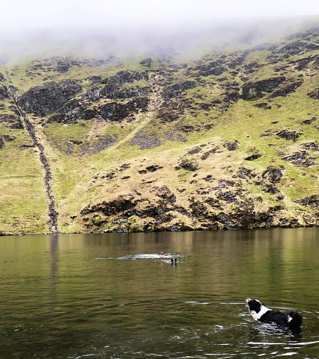 A super #harmerfamily bank holiday w/e. ⛺️⛰️🥾🏊‍♀️🐾 💚