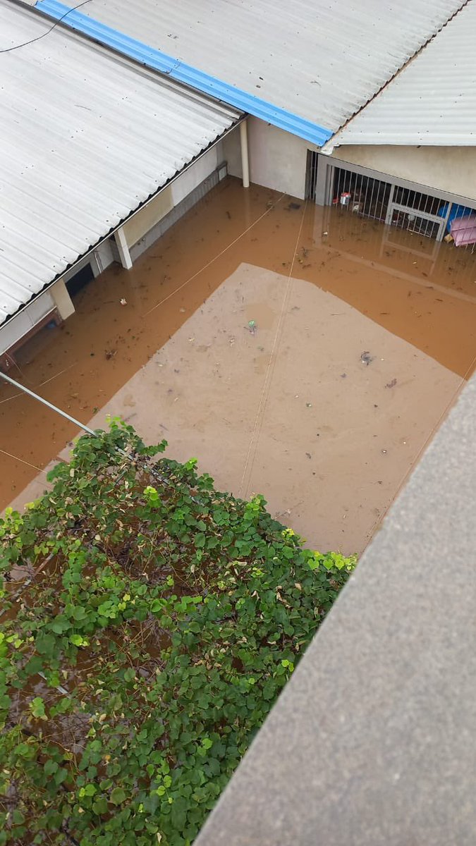Como vocês sabem, houve uma enchente em Canoas e minha casa (essa da foto) foi alagada. Minha família resolveu fazer uma vakinha para conseguirmos nos reestruturar pelo menos um pouco, quem conseguir ajudar com QUALQUER valor ou só repostando, por favor. vakinha.com.br/4740105