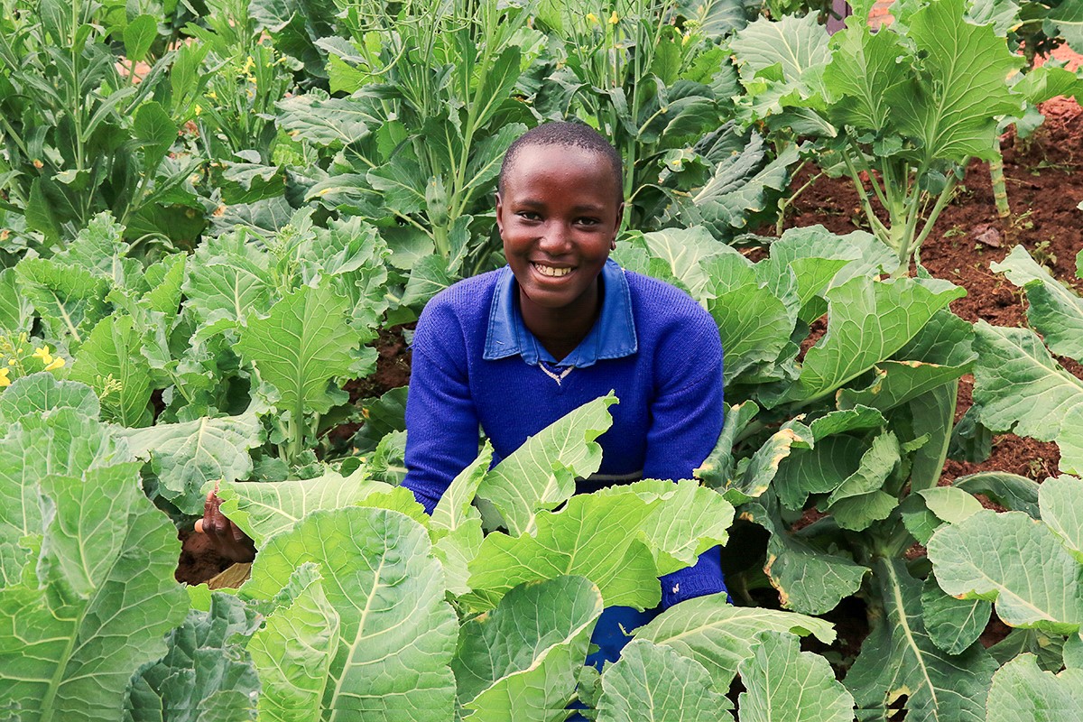 School kitchen gardens are one of the best ways to teach the next generation about nutrition-sensitive #agriculture. @WFP works with @Gardens4Health to promote them across schools in #Rwanda, so that students can learn to grow nutritious food using sustainable practices. 🥬🥬