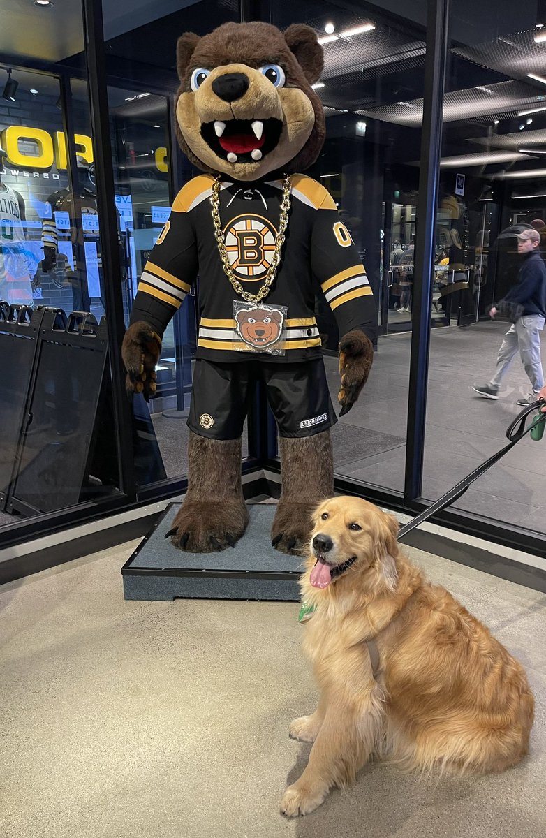 What a week! #Boston 
Copley spread GOLD @tdgarden hoping to help #Bruins & #Celtics WIN GOLD! 🏆
Monday: Bruins
Tuesday: Celtics
Wednesday: Bruins
Thursday: Celtics
Friday: Bruins
Saturday: Celtics 
Sunday: Bruins
Monday: Celtics
#DifferentHere 💚☘️💛🖤
@copleythegoldenboy on IG