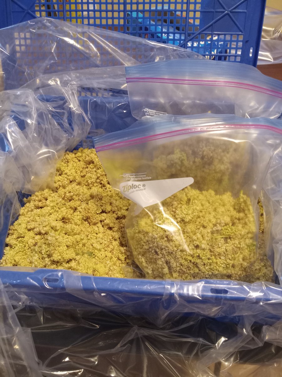 Quinn F. tweet media