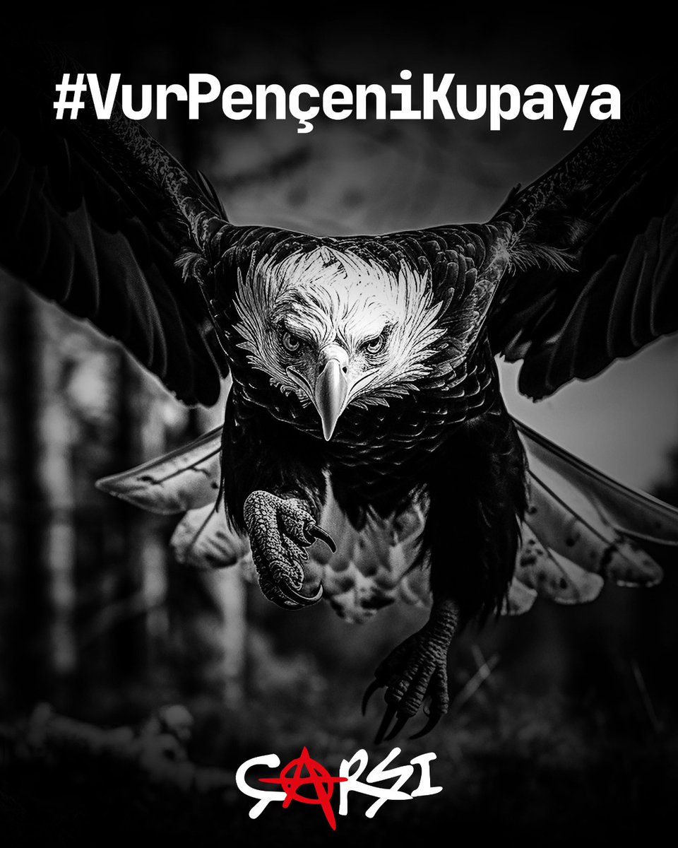 Haydi bastır şanlı kartalım... 🖤🦅 #VurPençeniKupaya