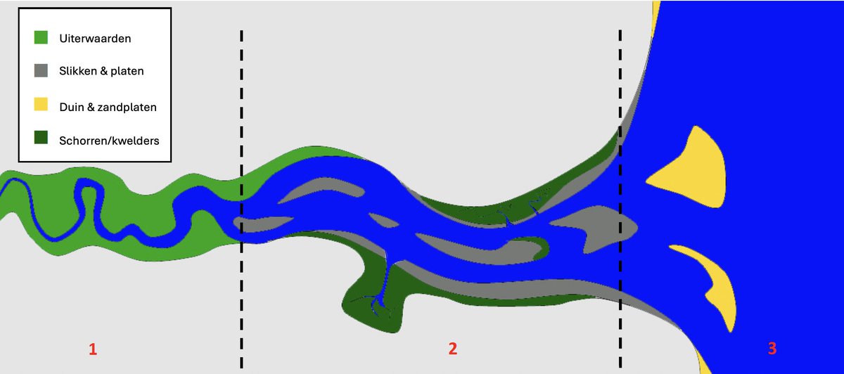 Een estuarium vinden we in de onderloop van een rivier, waar zoet rivierwater en zout zeewater onder invloed van getij mengt en brak water ontstaat. Deze gebieden hebben een grote natuurwaarde met slikken & schorren (of kwelders). Zie zone 2: