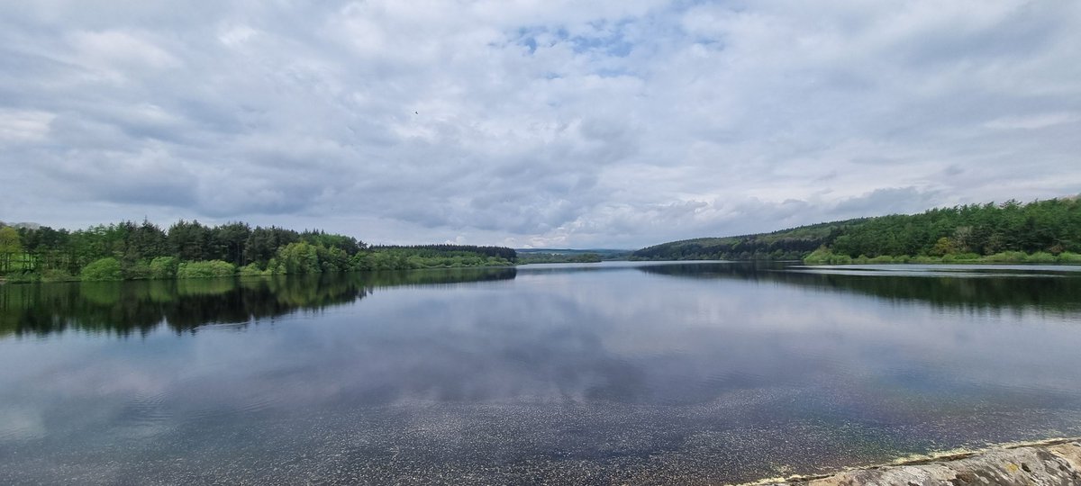 elchewhite's tweet photo. Lovely lunchtime walk around Swinsty reservoir with the doggos who were observed by some friends from behind a wall. Not cold but not too warm either, picnic went down well too! #northyorkshire #walks #freshair #excercise #daysoff #scenery #washburnvalley #swinsty https://t.co/CnQRgvAb5s